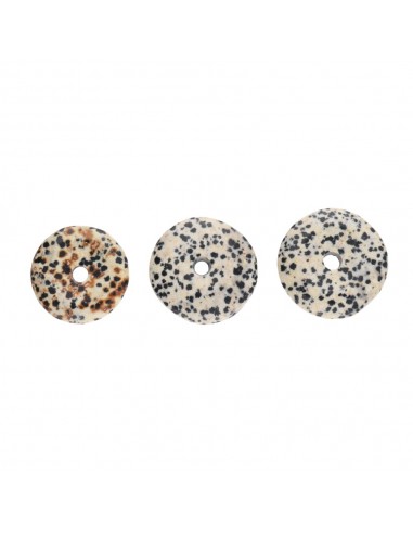 Dalmata Jasper Petit Donut Qualité A