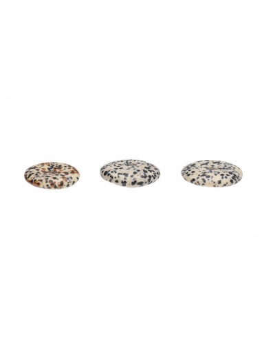 Dalmata Jasper Petit Donut Qualité A