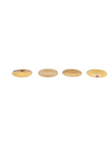 Pequeno donut de aragonite Qualidade A