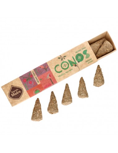 Cônes de Patchouli et Palo Santo -...