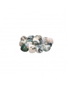 Agate Rhodes arborescentes...