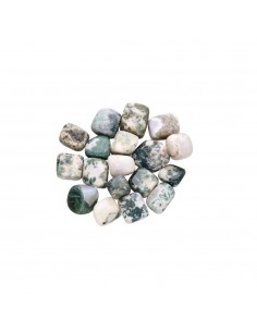 Agate Rhodes arborescentes... 2