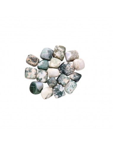 Agate Tree Rhodiola 2x2cm