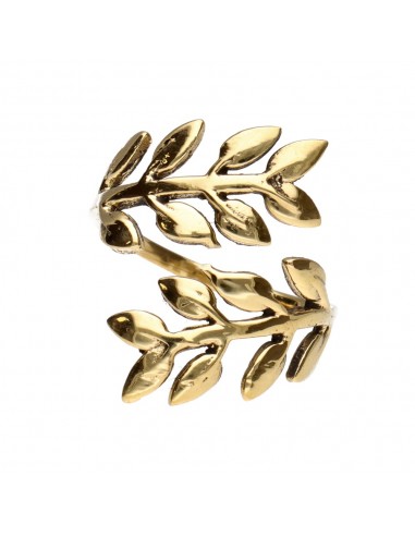 Anneau de bronze -57-
