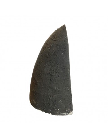 Géode d'améthyste GA858