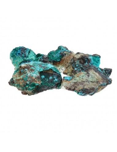 Chrysocolle brute moyenne