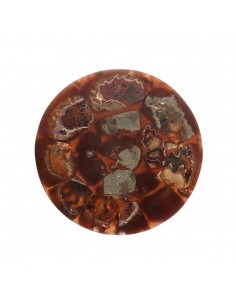 Placa con Ammonite 2