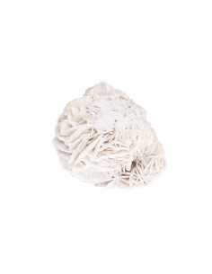 Desert Rose Small...