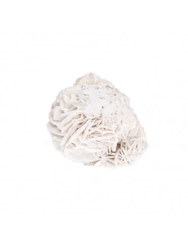 Desert Rose Small (embalagem de 250g)