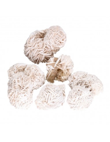 Desert Rose Small (embalagem de 250g)