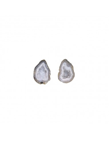 Géodino moyen en agate