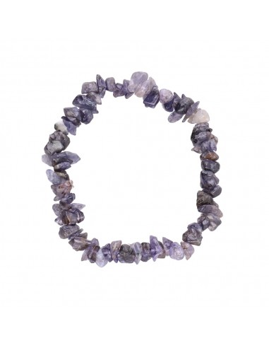 Bracelet de petites puces d'iolite