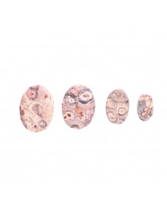 Cabochão olho de pássaro