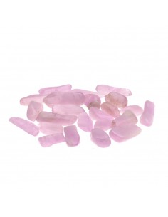 Mini Rodados de Kuncita Extra