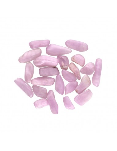 Mini Rodados de Kuncita Extra