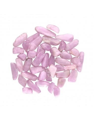 Kuncita Mini Rodados