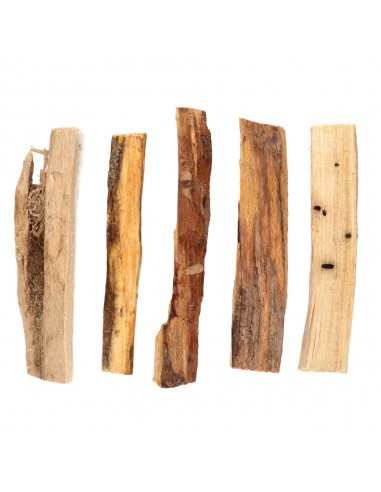 Palo Santo Premium (Bulk)