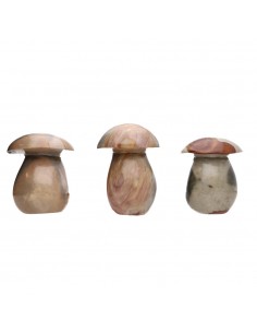 Champignons en jaspe...