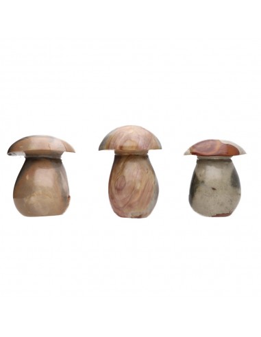 Champignons en jaspe polychrome poli