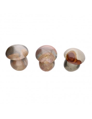 Polished Polychrome Jasper Mushrooms