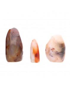 Polished Carnelian Shapes 2