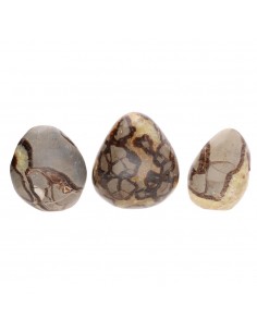 Septaria Polished Forms