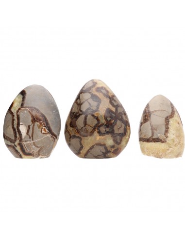 Formas Pulidas de Septaria