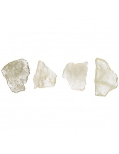 Libyan Techtite in Raw