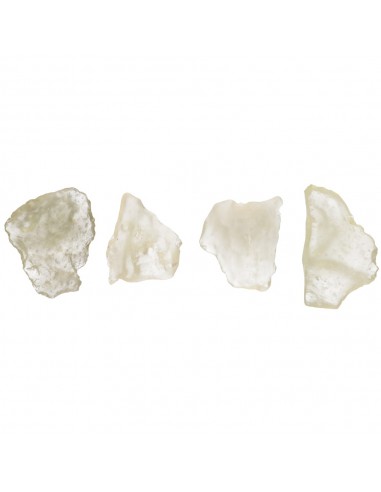 Libyan Techtite in Raw