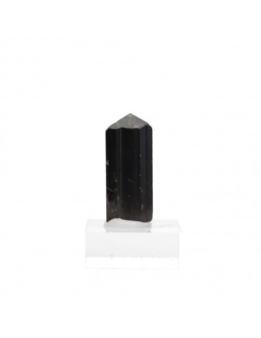 Tourmaline with Rough Backing (M)