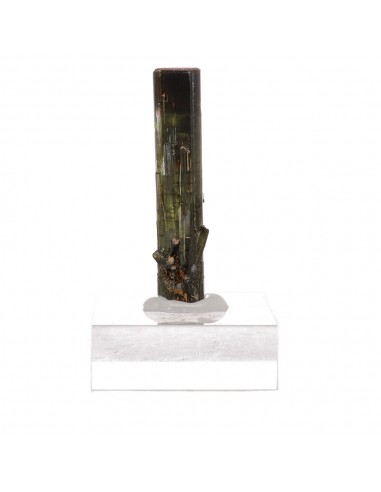 Small Tourmaline with Rough Backing