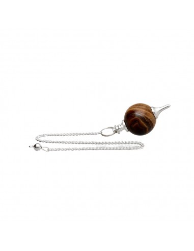 Silver Plated Tiger Eye Mermet...