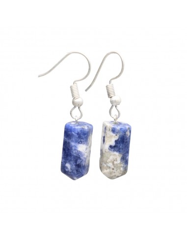 Silver Plated Sodalite Earrings