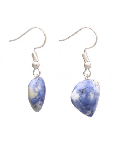 Silver Plated Sodalite Heart Earrings