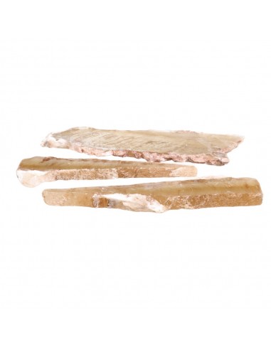 Selenite Honey Crystallized in Rude