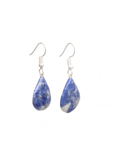 Silver Plated Sodalite Drop Earrings