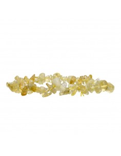 Pulseira com chip de...