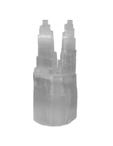 Large Double Selenite Lamp