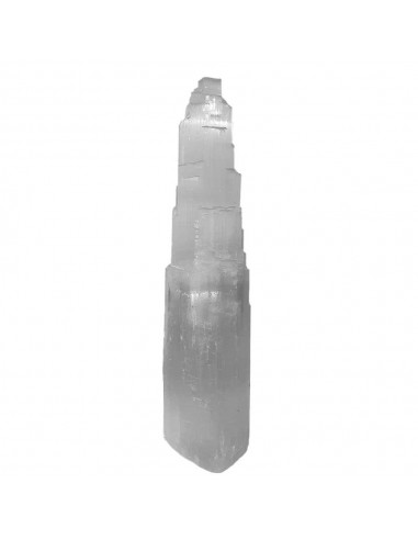 Large Double Selenite Lamp
