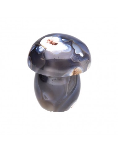 Agate mushrooms