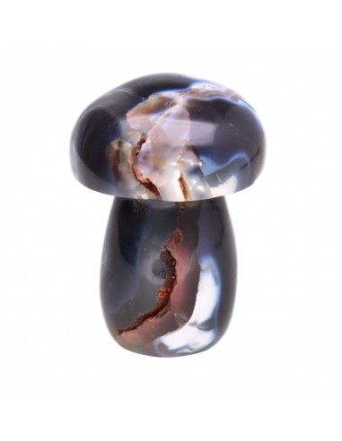 Agate mushrooms