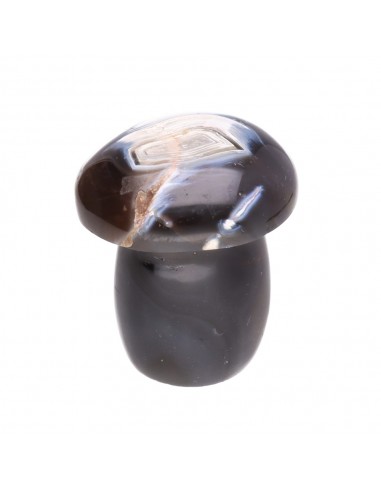 Agate mushrooms