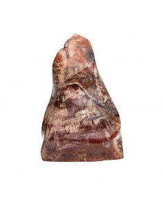 Forma Pulida de Xilópalo PX1