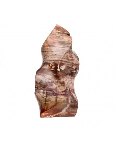 Forma Pulida de Xilópalo PX1