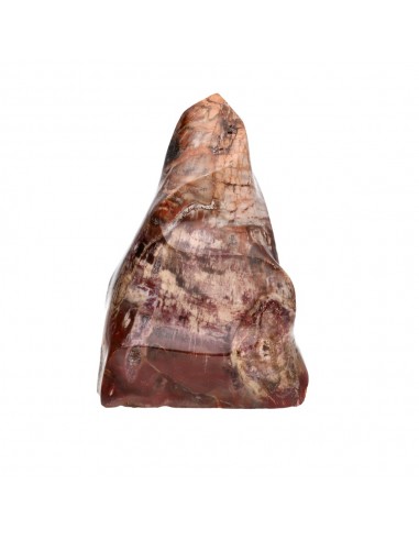 Forma Pulida de Xilópalo PX1