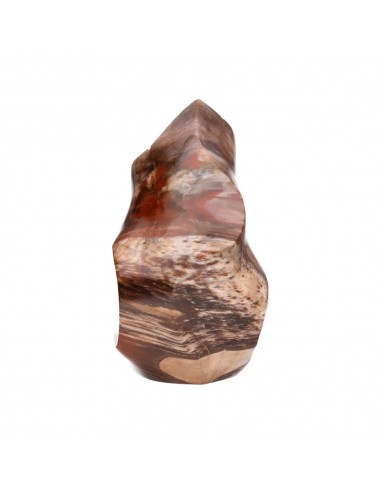 Xylophallus PX2 Polished Form