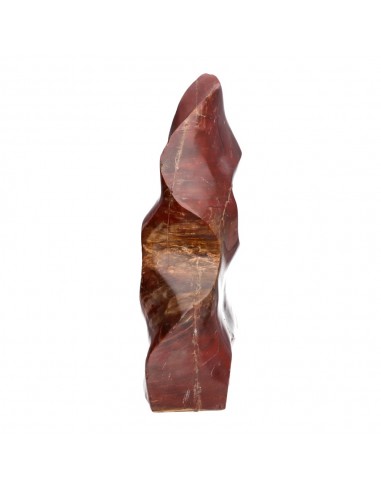 Xylophallus Forme polie PX3
