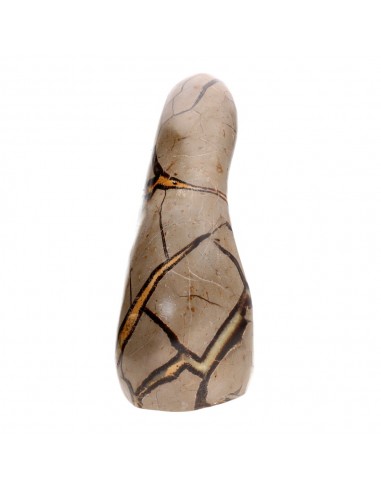 Septaria forme polie (N)