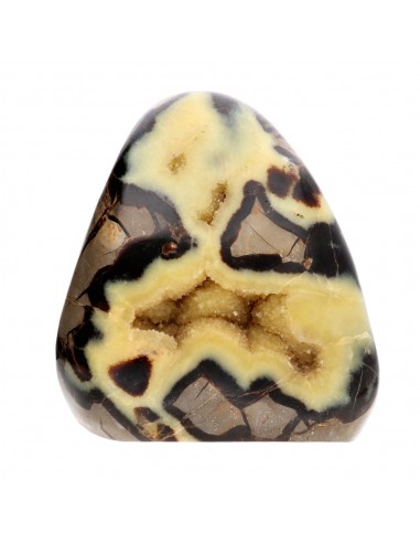 Septaria Polished Form (M)