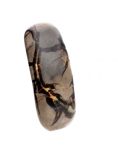 Septaria Polished Form (M)